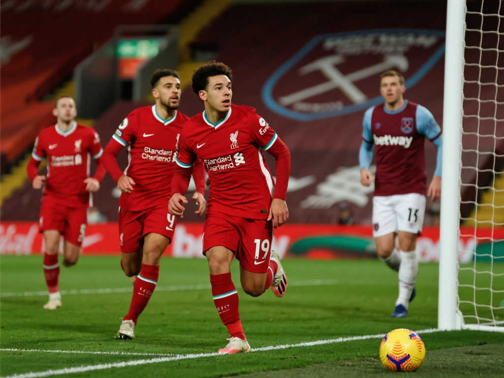 软件下载-世界杯预测